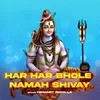 About Har Har Bhole Namah Shivay Song